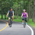 Olahraga Rutin: Kunci Hidup Sehat Dan Produktif