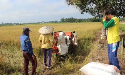 Aktivitas Masyarakat Yang Menjadi Perhatian Perkembangan