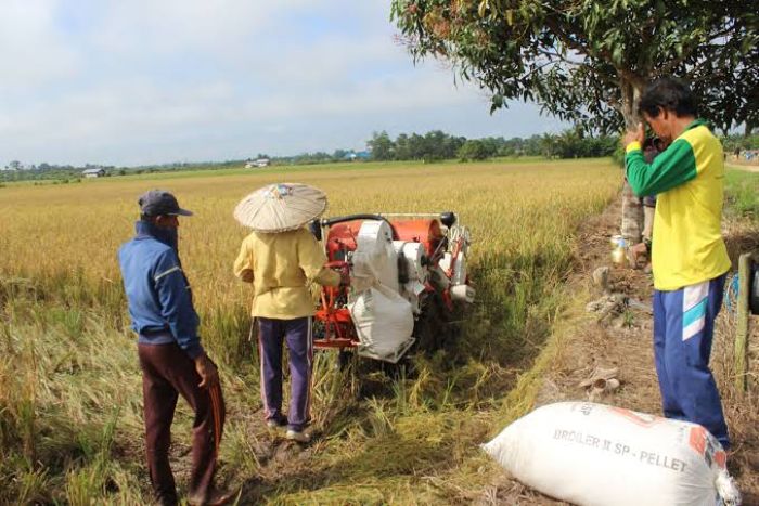 Aktivitas Masyarakat Yang Menjadi Perhatian Perkembangan
